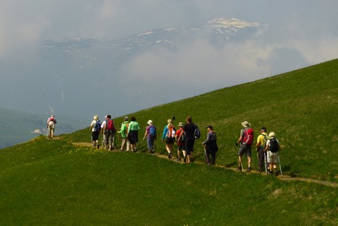 Wiesen und Berge